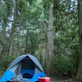Review photo of White River Dispersed Camping by Daisy S., July 23, 2023