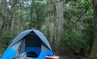 Daisy S.'s photo of tent camping at White River Dispersed Camping near Greenwater, WA