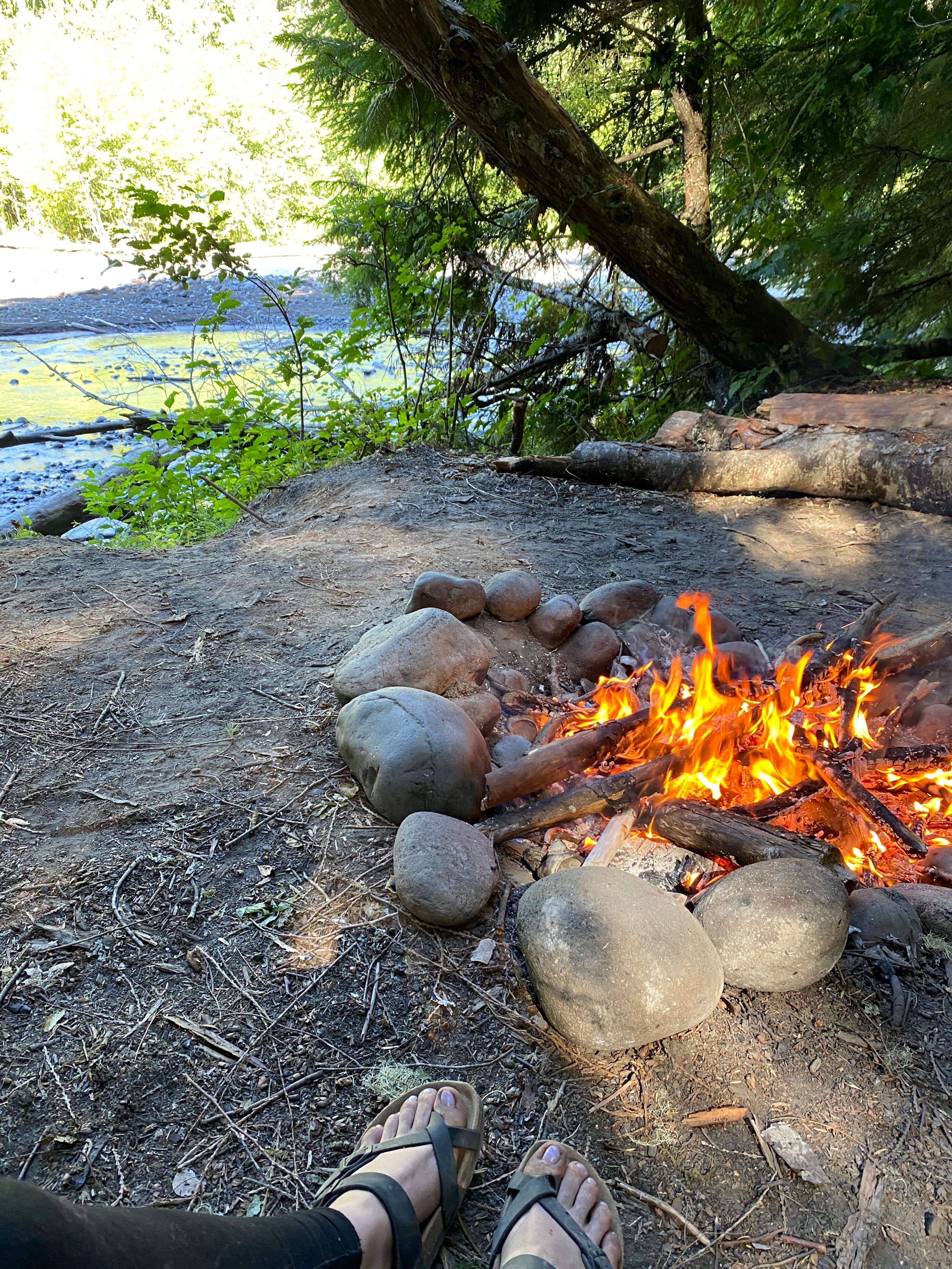 Camper submitted image from White River Dispersed Camping - 3