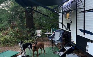 Quinn  G.'s photo at Lazy River Family Campground near Loudon, NH