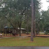 Review photo of Blackwater River State Park Campground by Mary S., October 24, 2018
