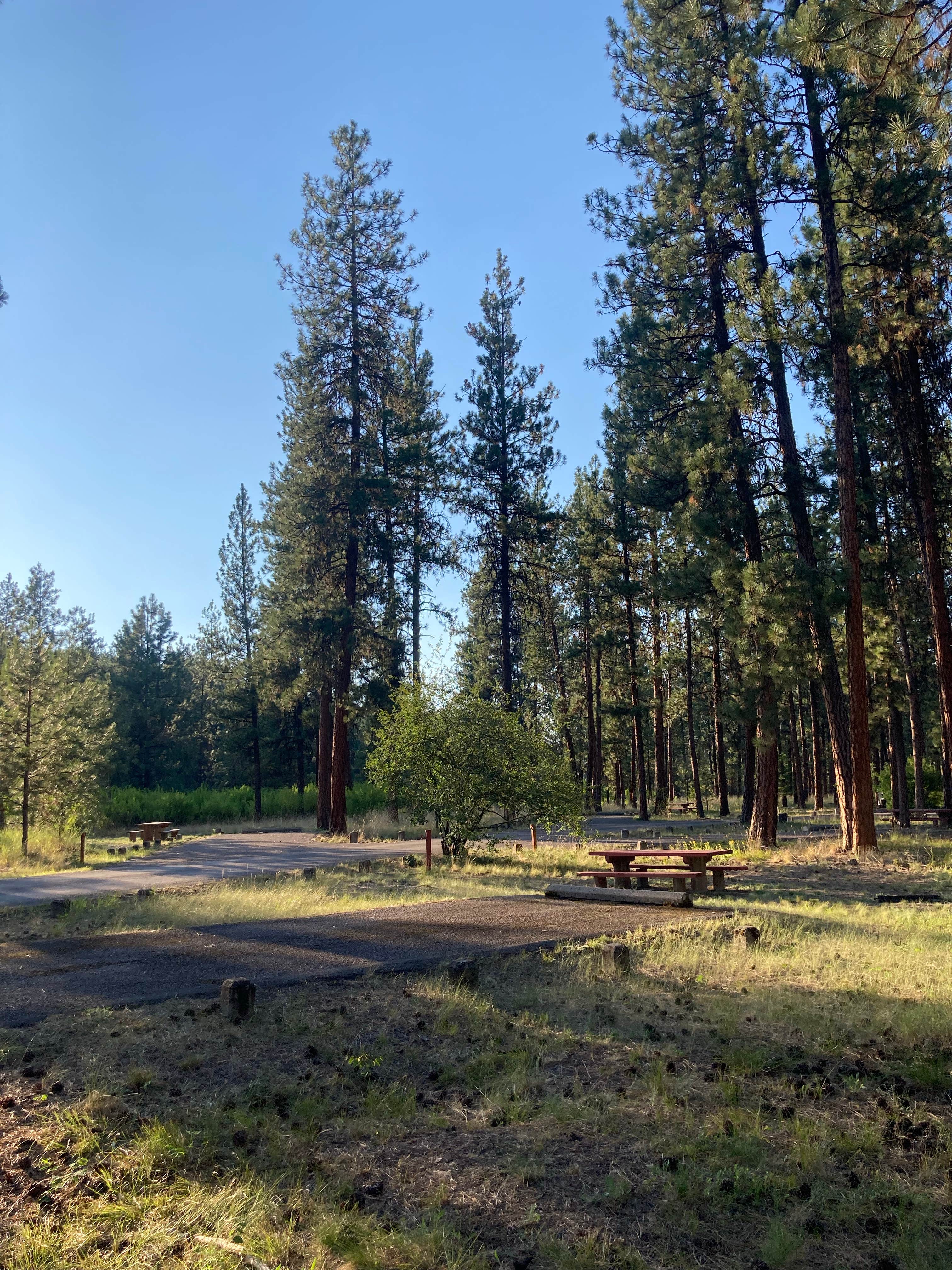 Camper submitted image from Quartz Flats Campground - 5