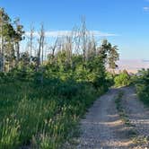 Review photo of Saddle Mountain (Kaibab NF) by Andrew M., July 23, 2023