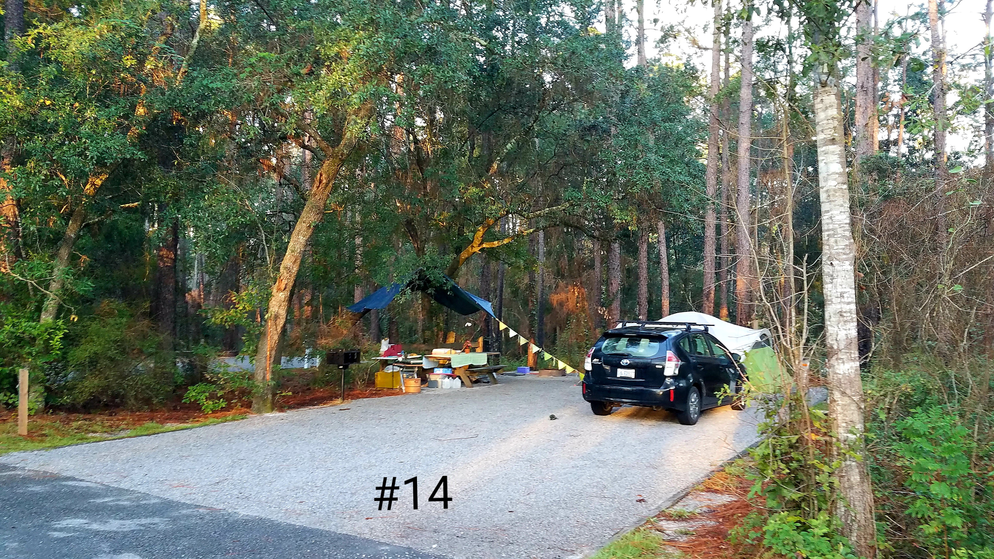 Camper submitted image from Blackwater River State Park Campground - 4