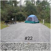 Review photo of Blackwater River State Park Campground by Mary S., October 24, 2018