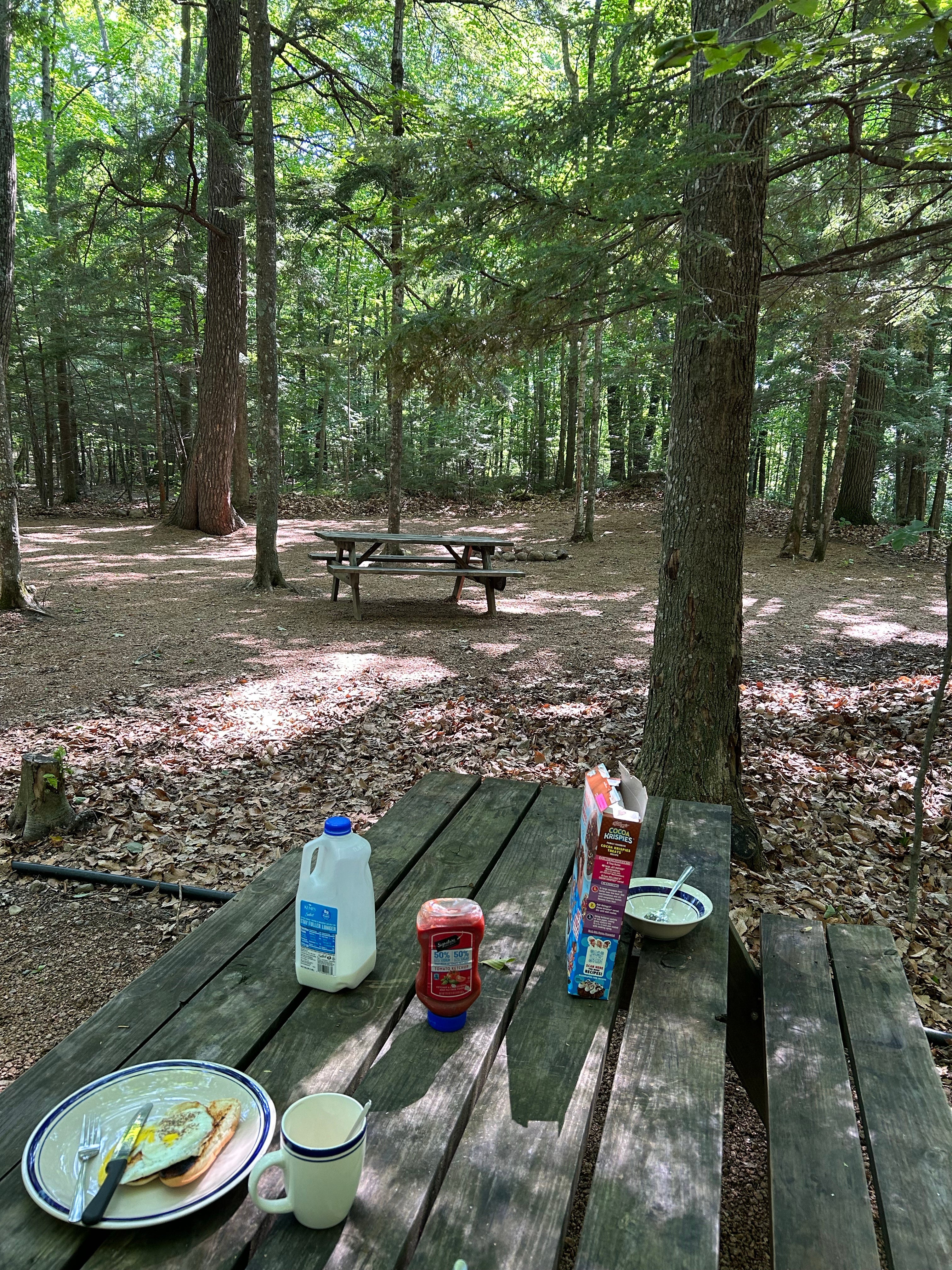 Camper submitted image from River Forest Campground and Outdoor  Retreats - 1