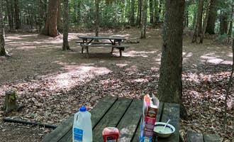 Camping near Fawn Lake Campground: River Forest Campground and Outdoor  Retreats, White Lake, Wisconsin