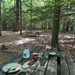 River Forest Campground and Outdoor  Retreats
