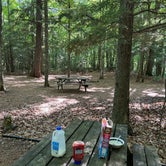 Review photo of River Forest Campground and Outdoor  Retreats by Ron G., July 23, 2023