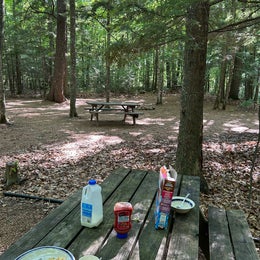 River Forest Campground and Outdoor  Retreats
