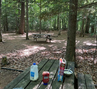 Camper-submitted photo from River Forest Campground and Outdoor  Retreats