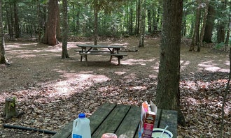 Camping near Boulder Lake: River Forest Campground and Outdoor  Retreats, White Lake, Wisconsin
