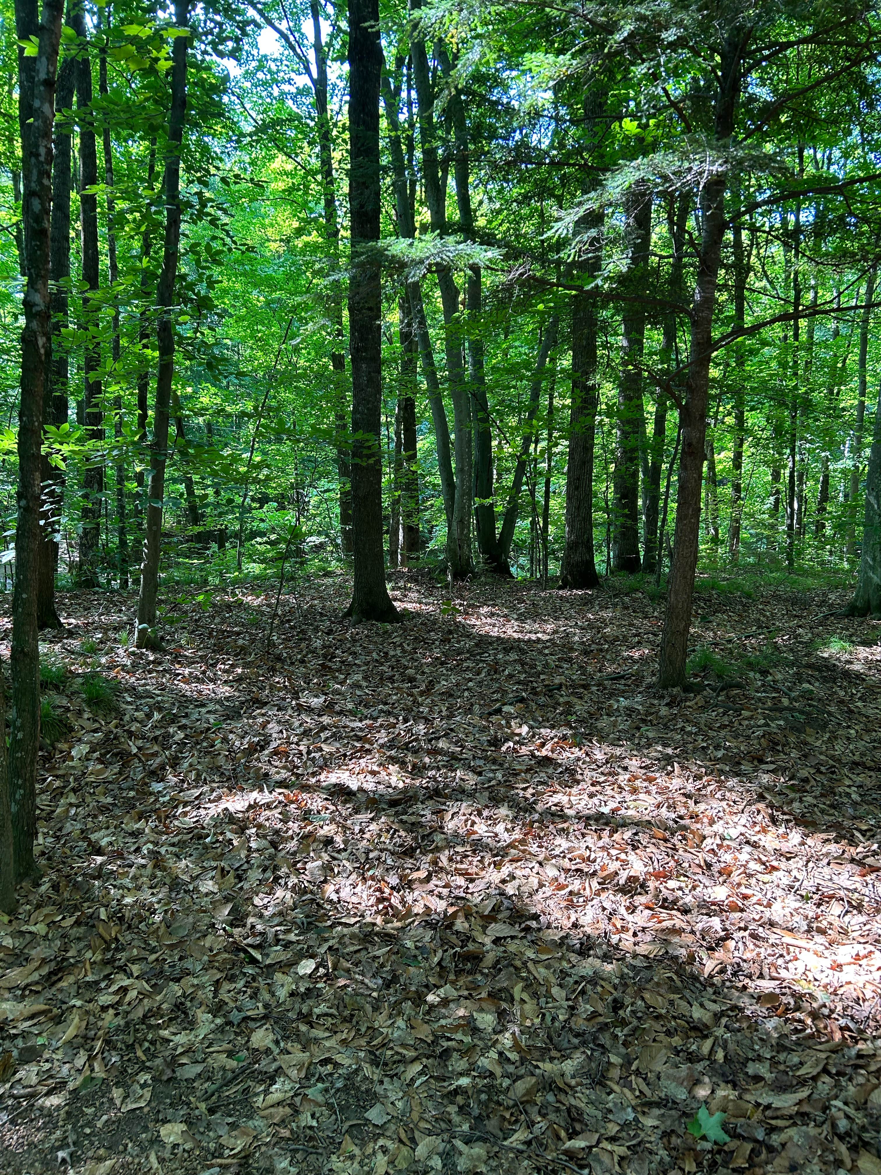 Camper-submitted photo at River Forest Campground and Outdoor  Retreats near Mountain, WI