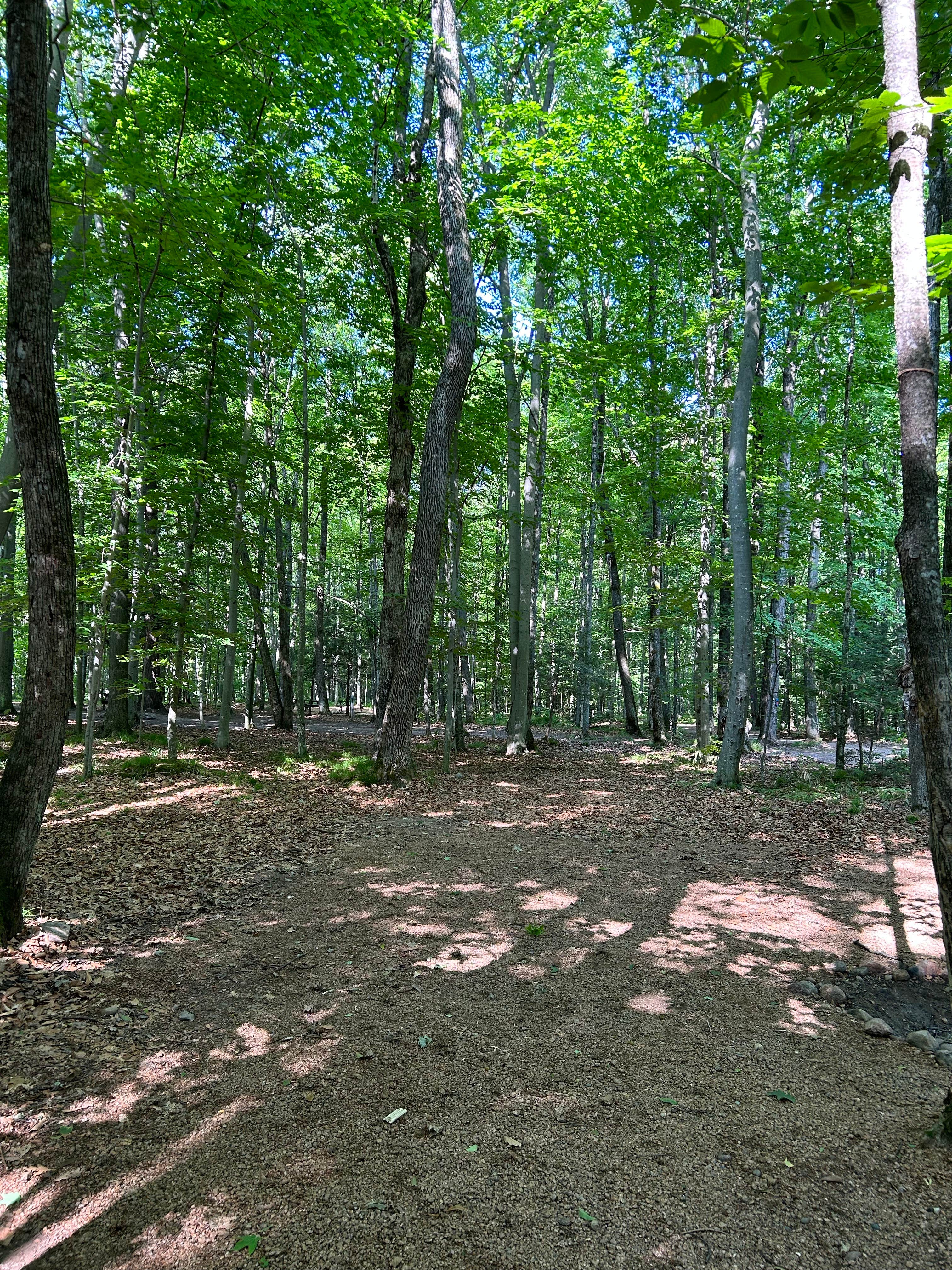 Camper-submitted photo at River Forest Campground and Outdoor  Retreats near Mountain, WI