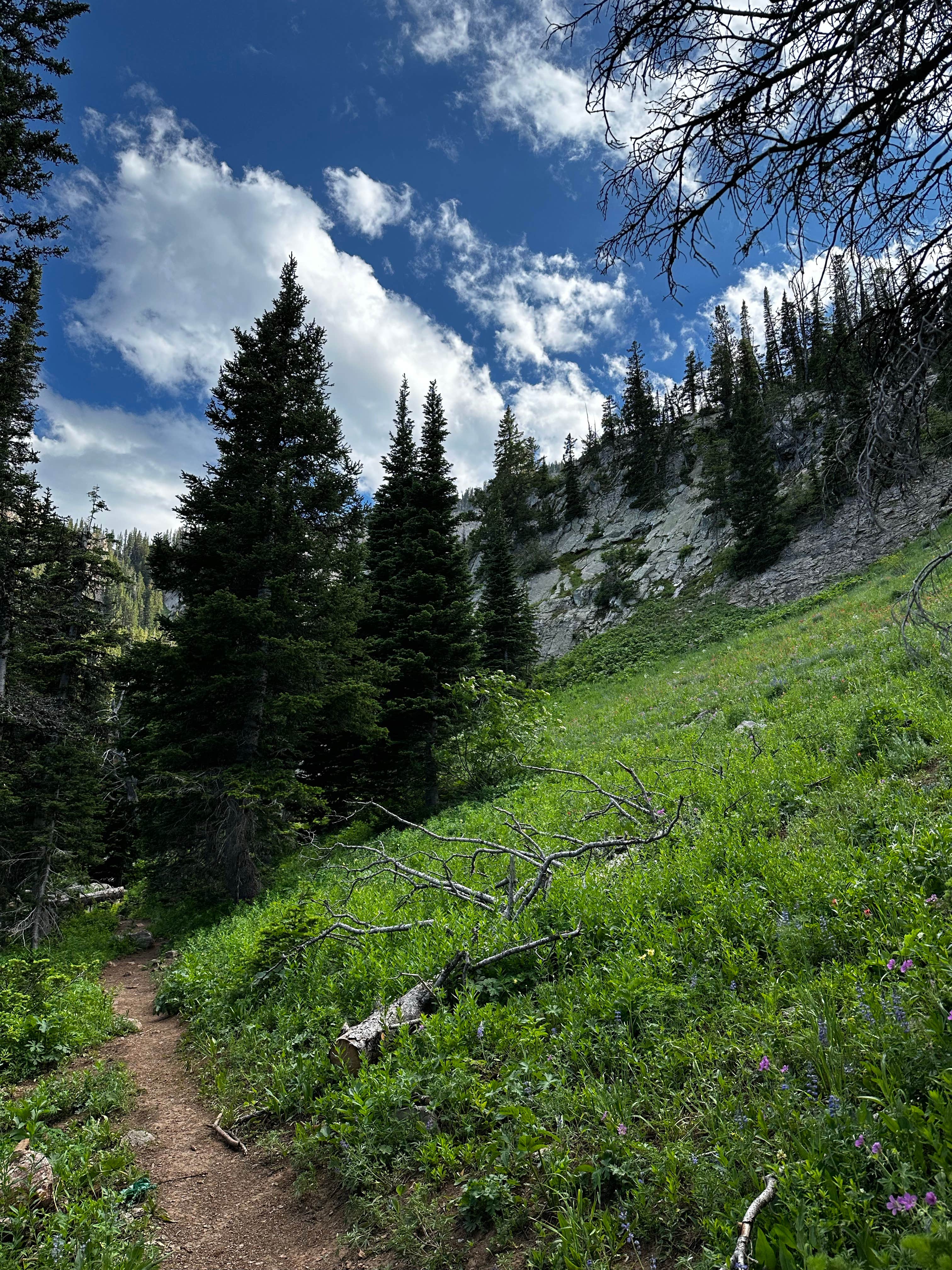 Camper-submitted photo at Fairy Lake Campground near Three Forks, MT