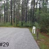 Review photo of Blackwater River State Park Campground by Mary S., October 24, 2018