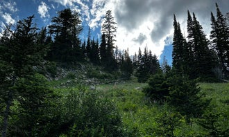 Camping near Porcupine Cabin: Fairy Lake Campground, Gallatin National Forest, Montana