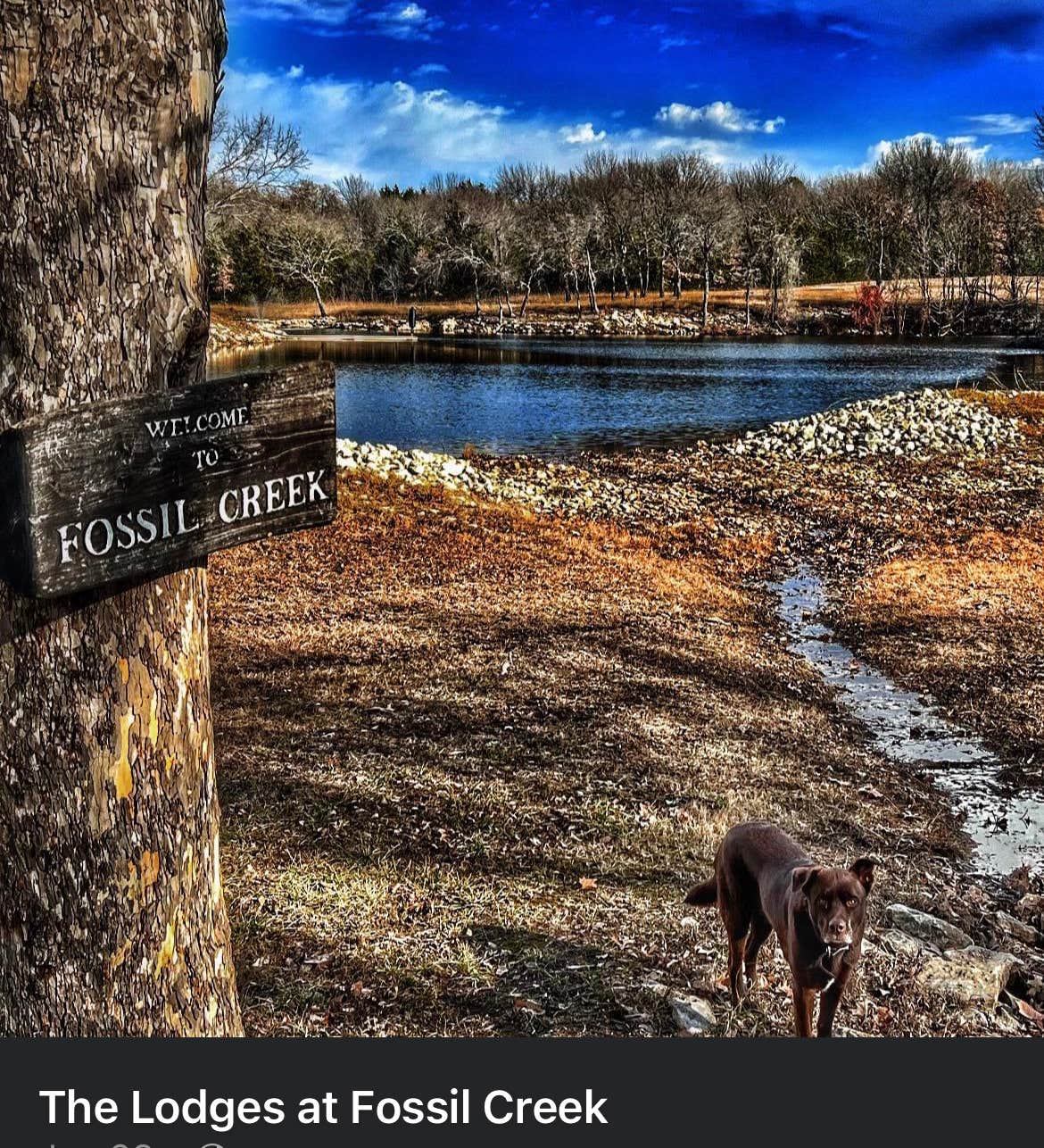 Camper-submitted photo at The Lodges at Fossil Creek near Sadler, TX