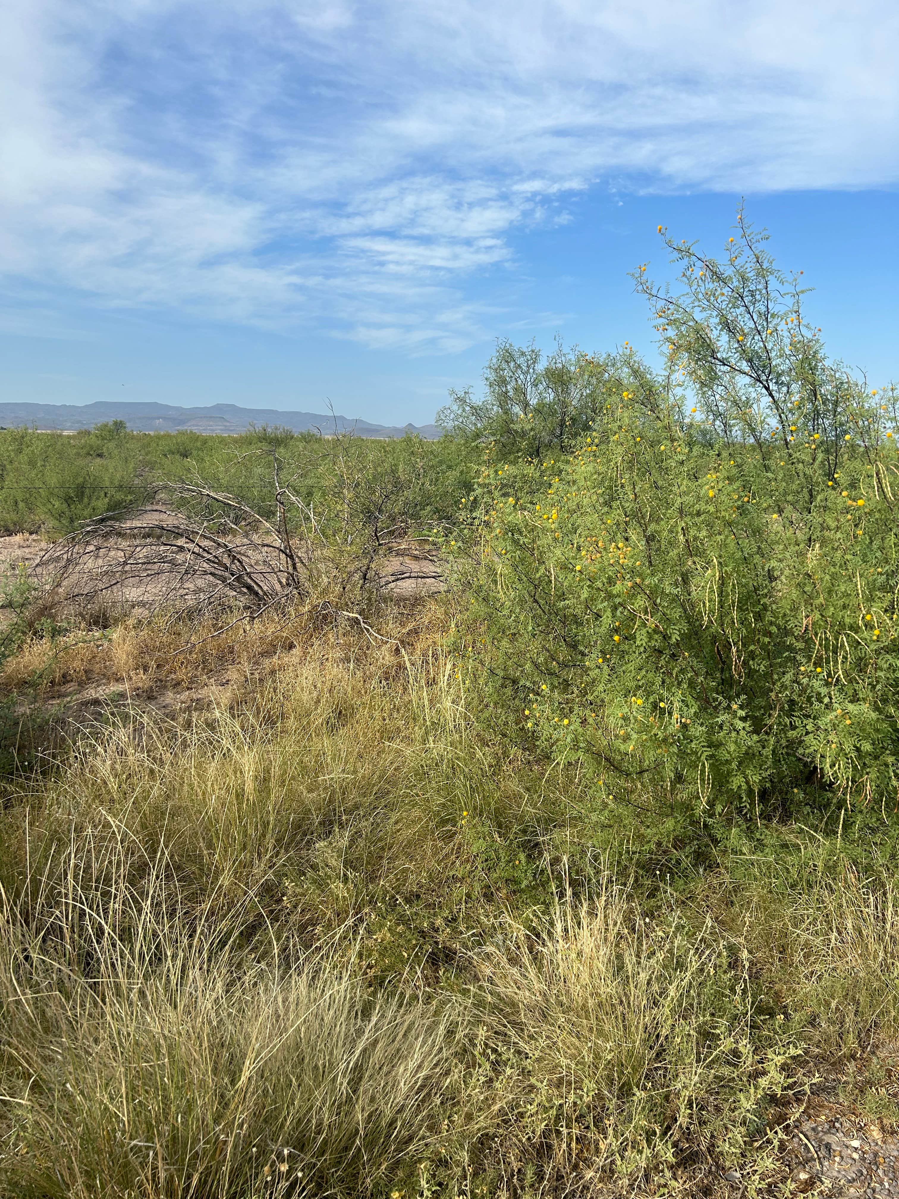Camper-submitted photo at Saddleback Mountain RV Park near Alpine, TX