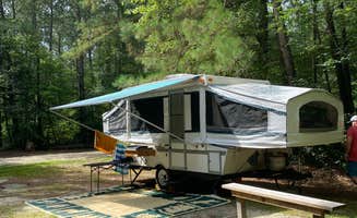 andrew's photo at Redden State Forest Campground near Denton, MD