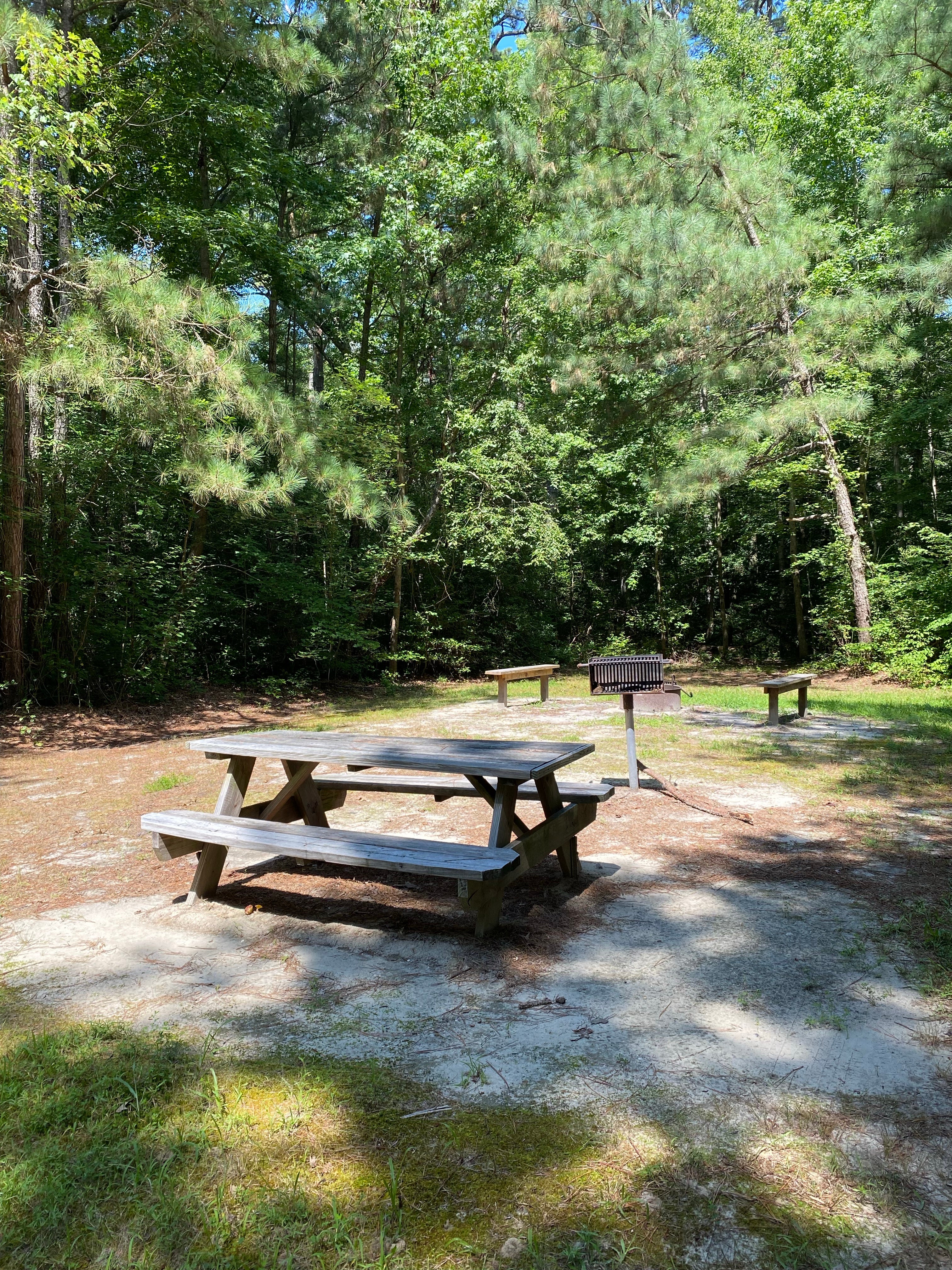 Camper submitted image from Redden State Forest Campground - 3