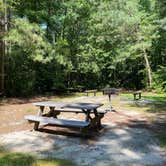 Review photo of Redden State Forest Campground by andrew , July 23, 2023