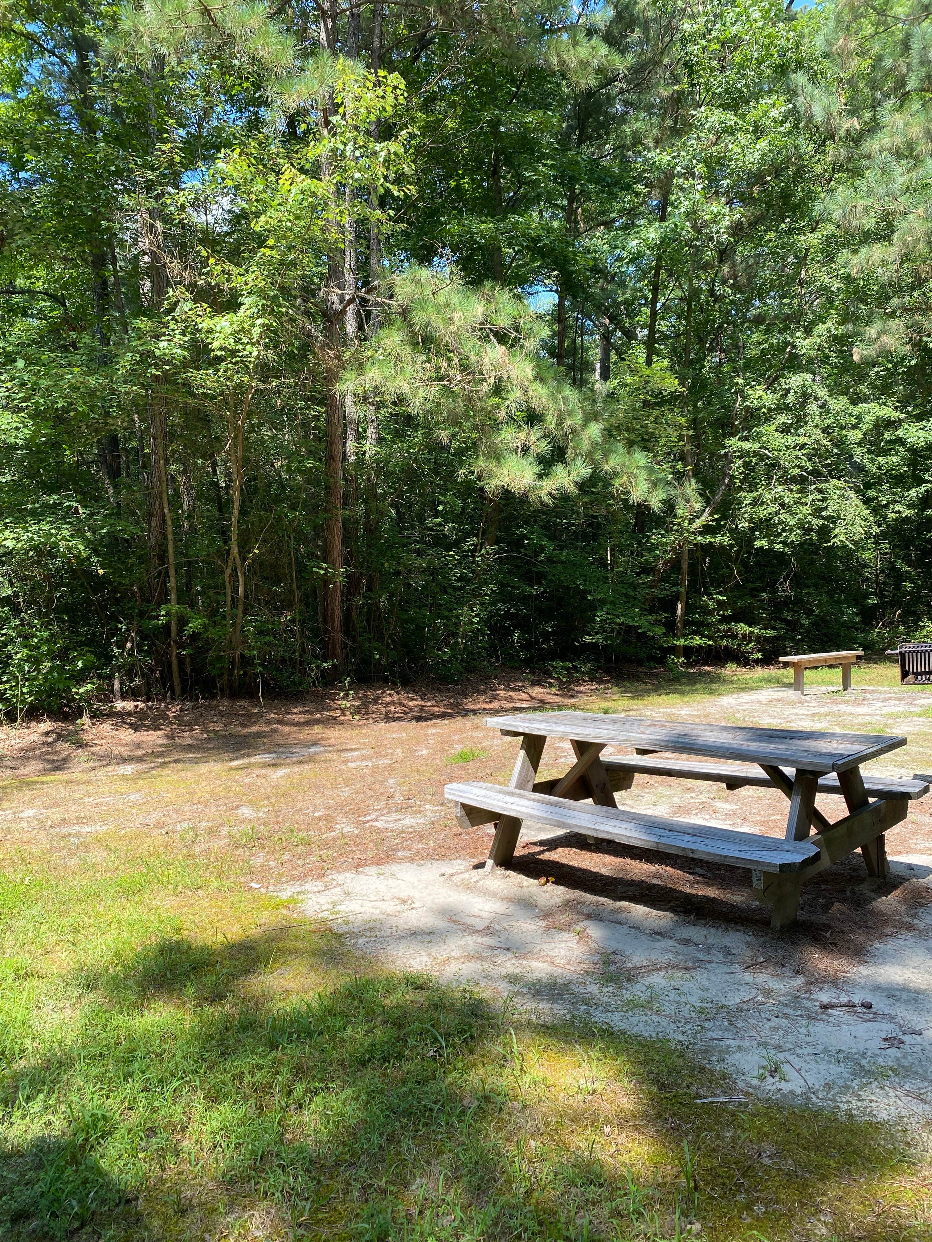 Camper-submitted photo at Redden State Forest Campground near Millville, DE