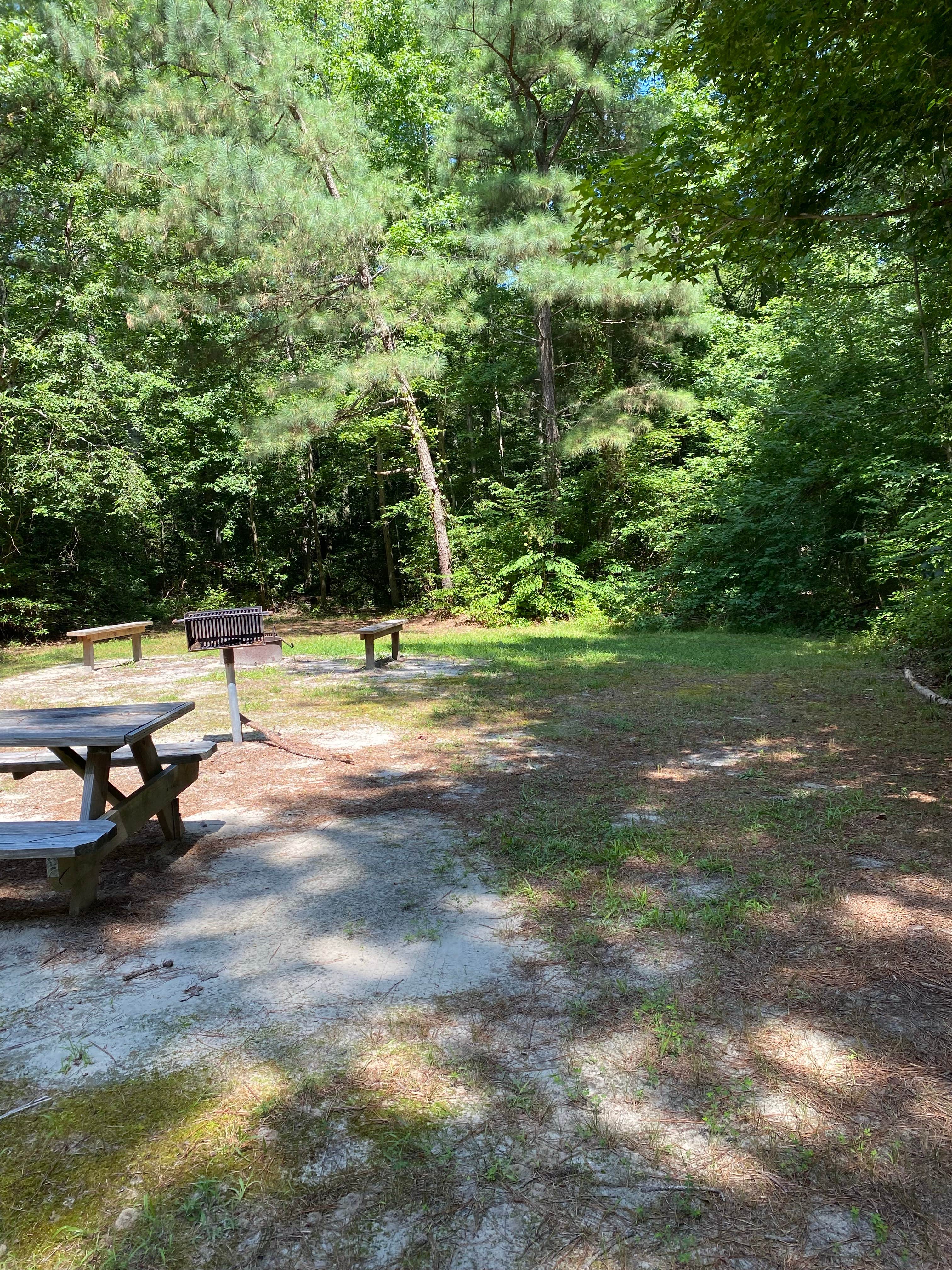 Camper-submitted photo at Redden State Forest Campground near Millville, DE