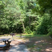 Review photo of Redden State Forest Campground by andrew , July 23, 2023