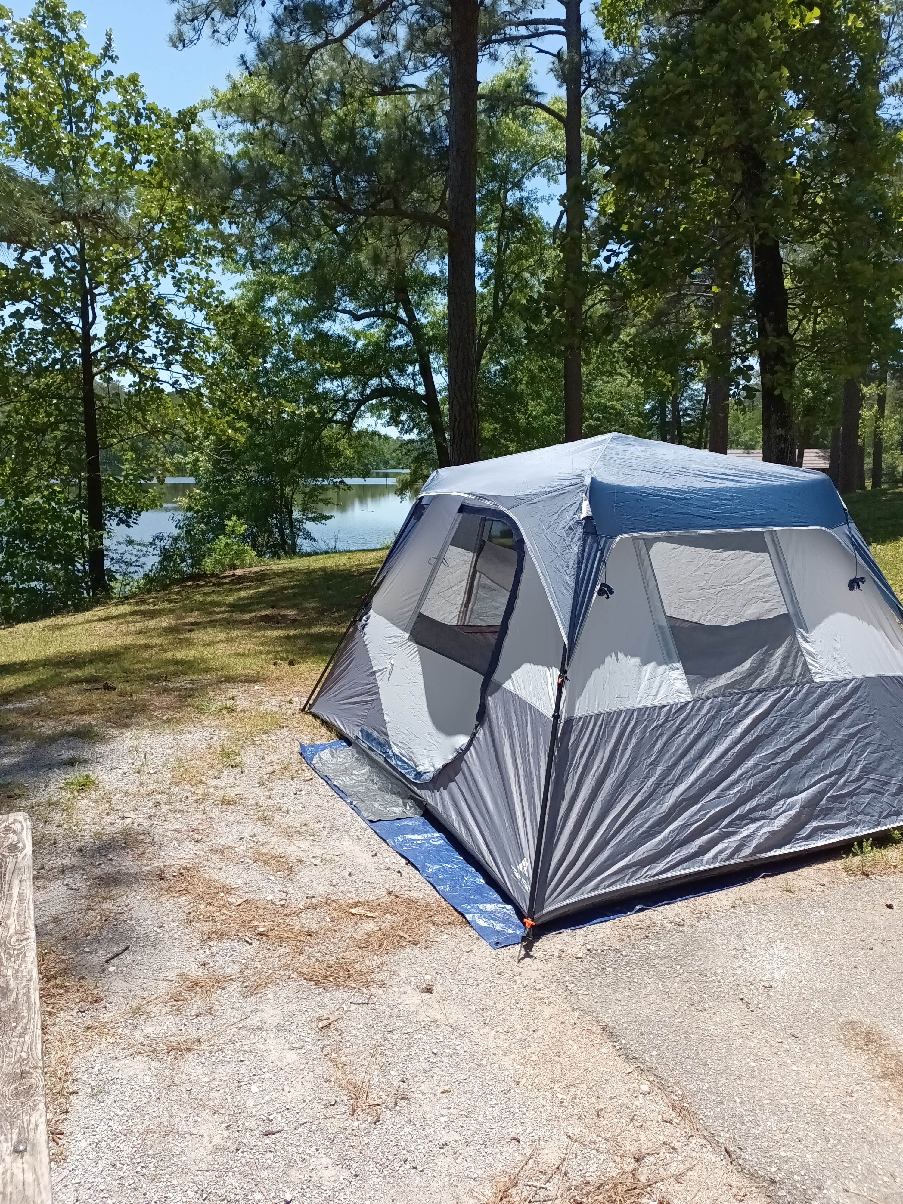 Camper-submitted photo at Payne Lake West Side near Marion Junction, AL