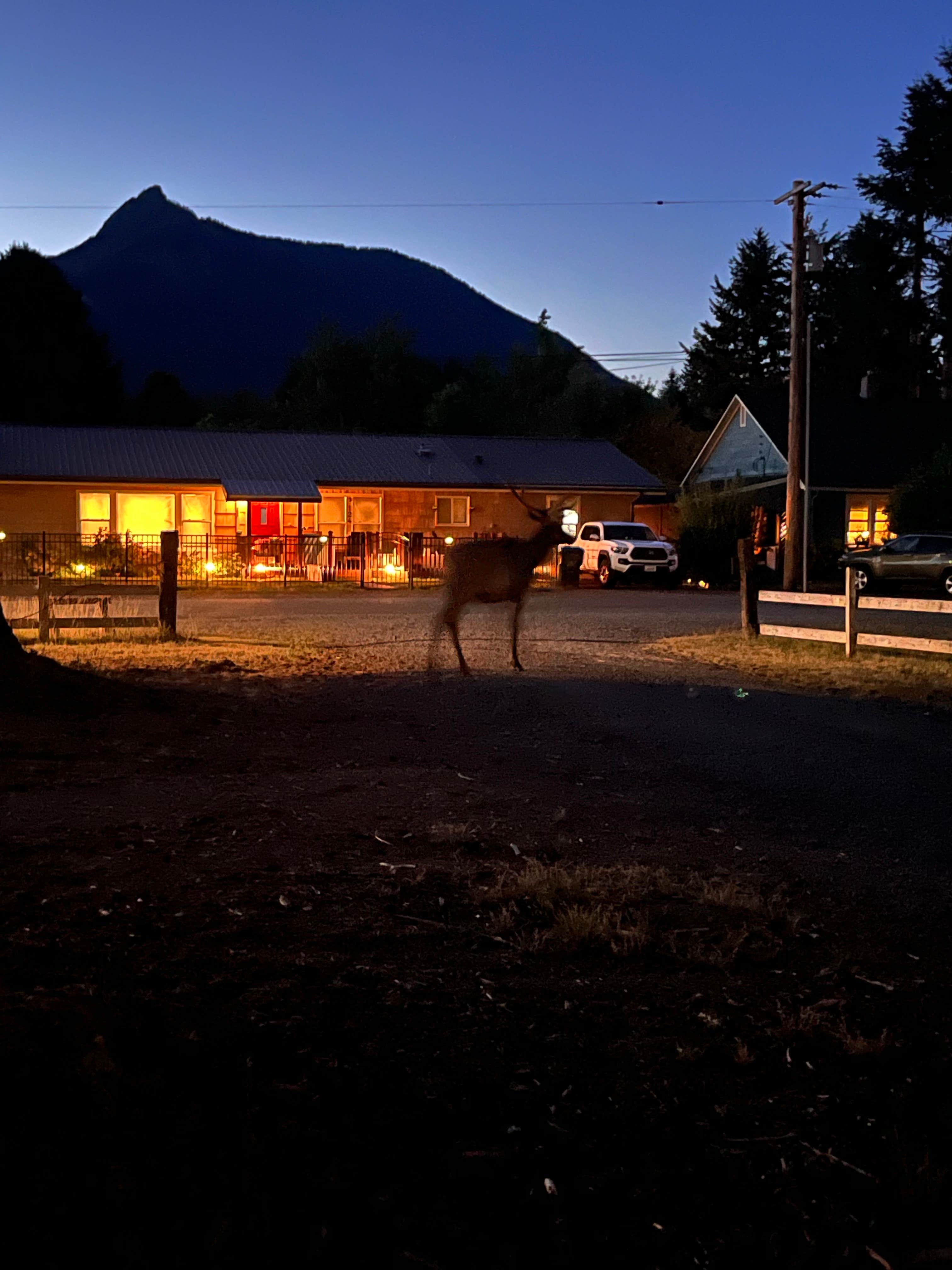Camper-submitted photo at Packwood RV Park & Campground near White Pass, WA