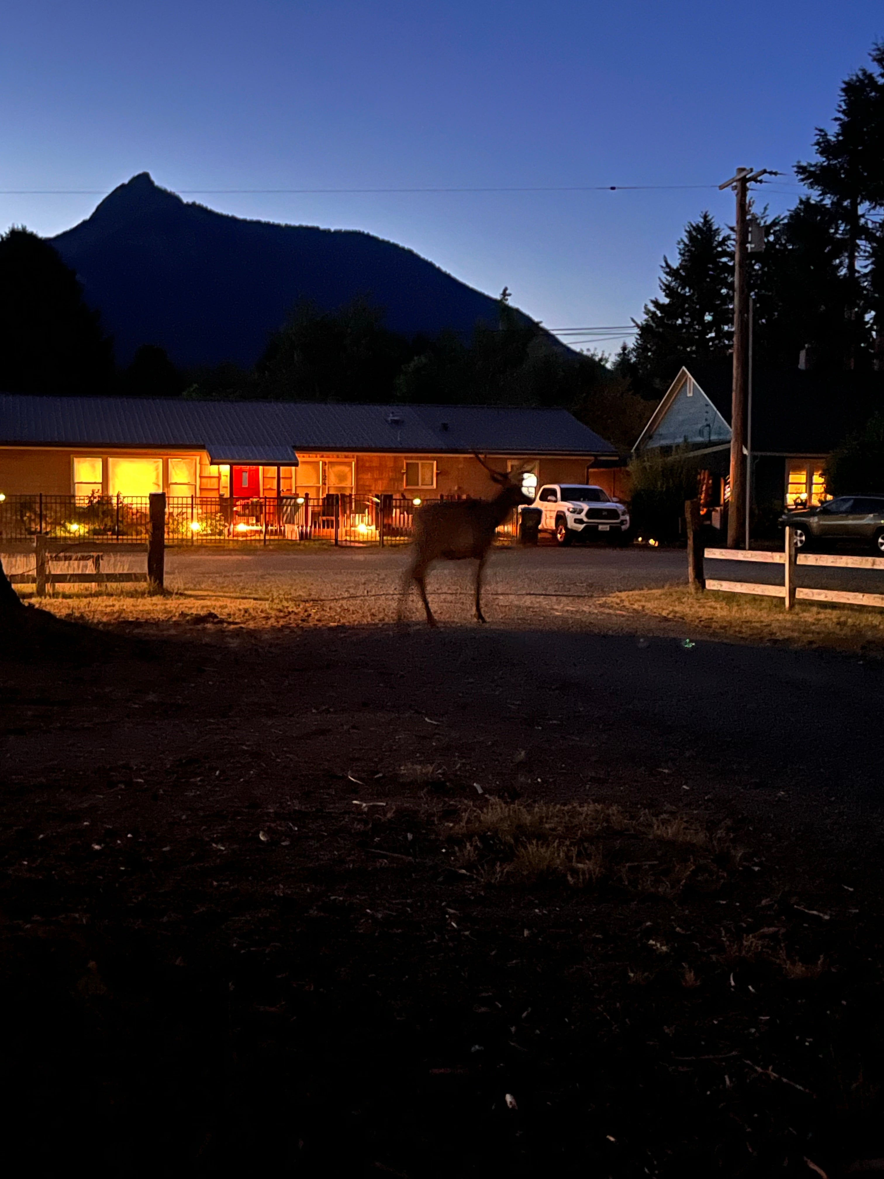 Camper submitted image from Packwood RV Park & Campground - 4