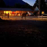 Review photo of Packwood RV Park & Campground by Melita B., July 23, 2023