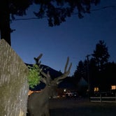 Review photo of Packwood RV Park & Campground by Melita B., July 23, 2023