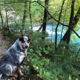 Review photo of Ozark National Scenic Riverways Big Spring by Shelly S., October 24, 2018