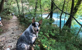 Shelly S.'s photo of camping with pets at Big Spring Campground — Ozark National Scenic Riverway near Poplar Bluff, MO