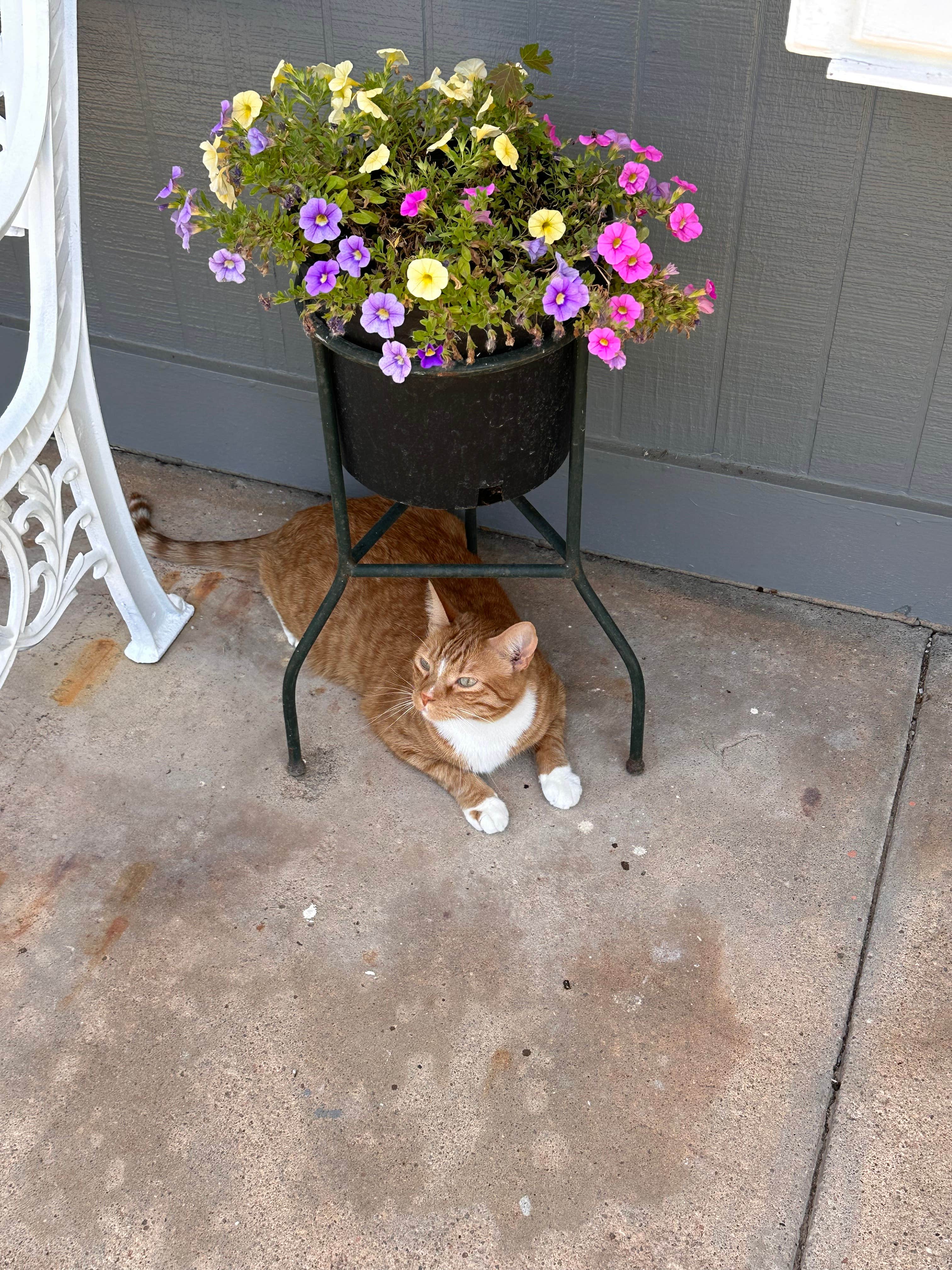 Jayson M.'s photo of camping with pets at All Seasons RV Park near Augusta, KS