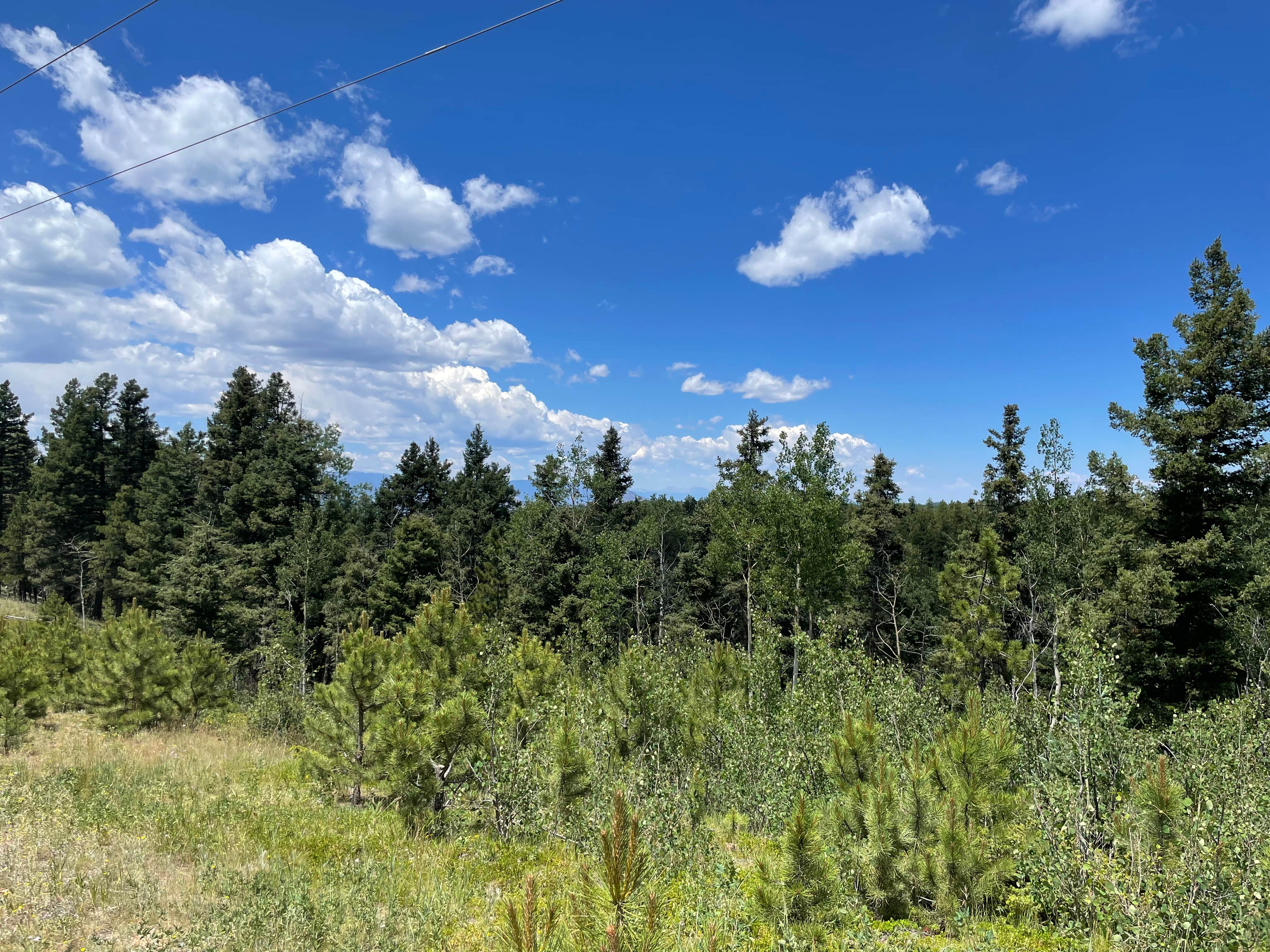 Chris P.'s photo of a dispersed camping area at Beaver Creek Road near Lone Tree, CO