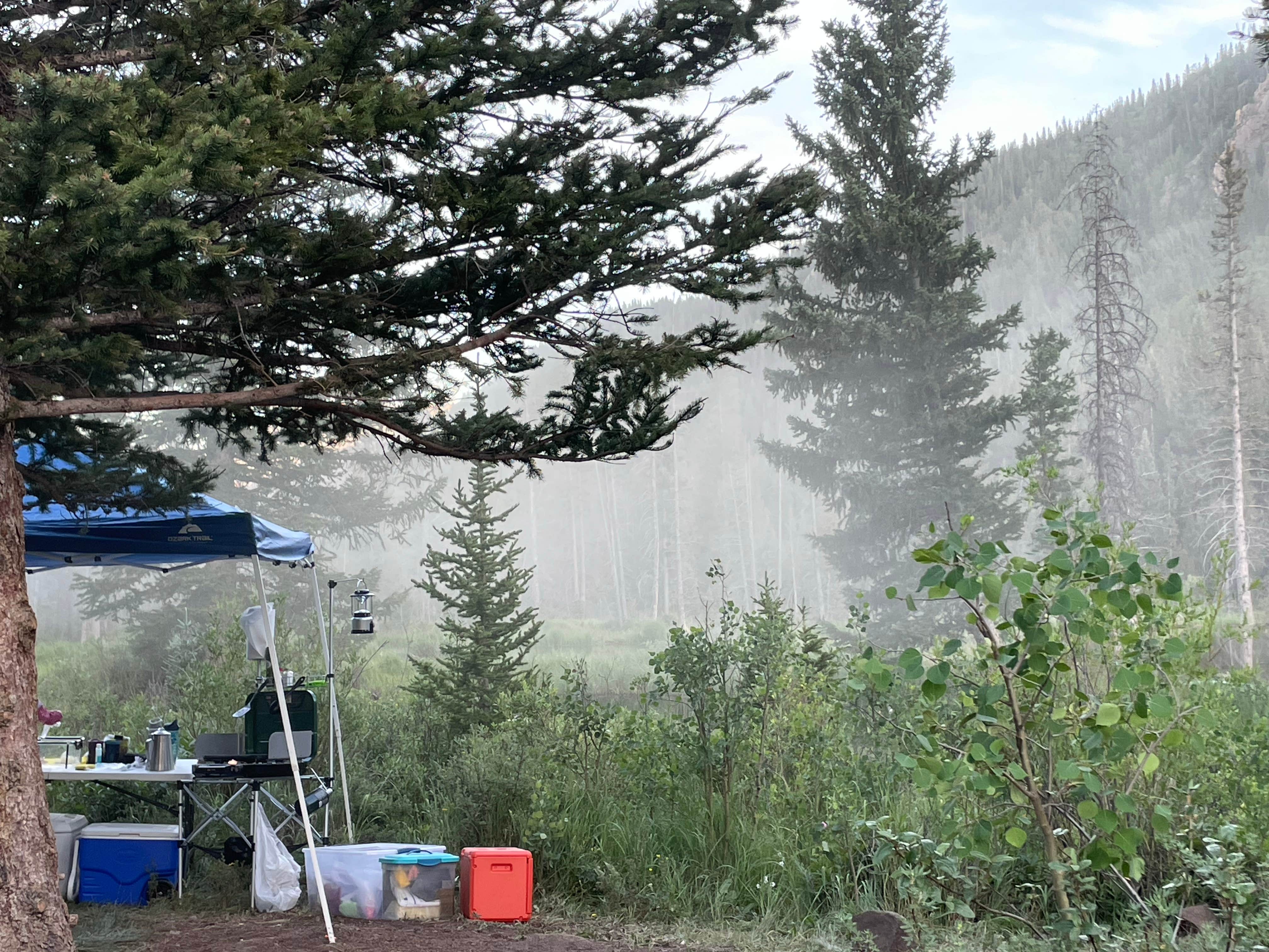 Camper submitted image from Beaver Creek Road - 4