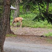 Review photo of Strawberry Campground by Chris B., July 23, 2023