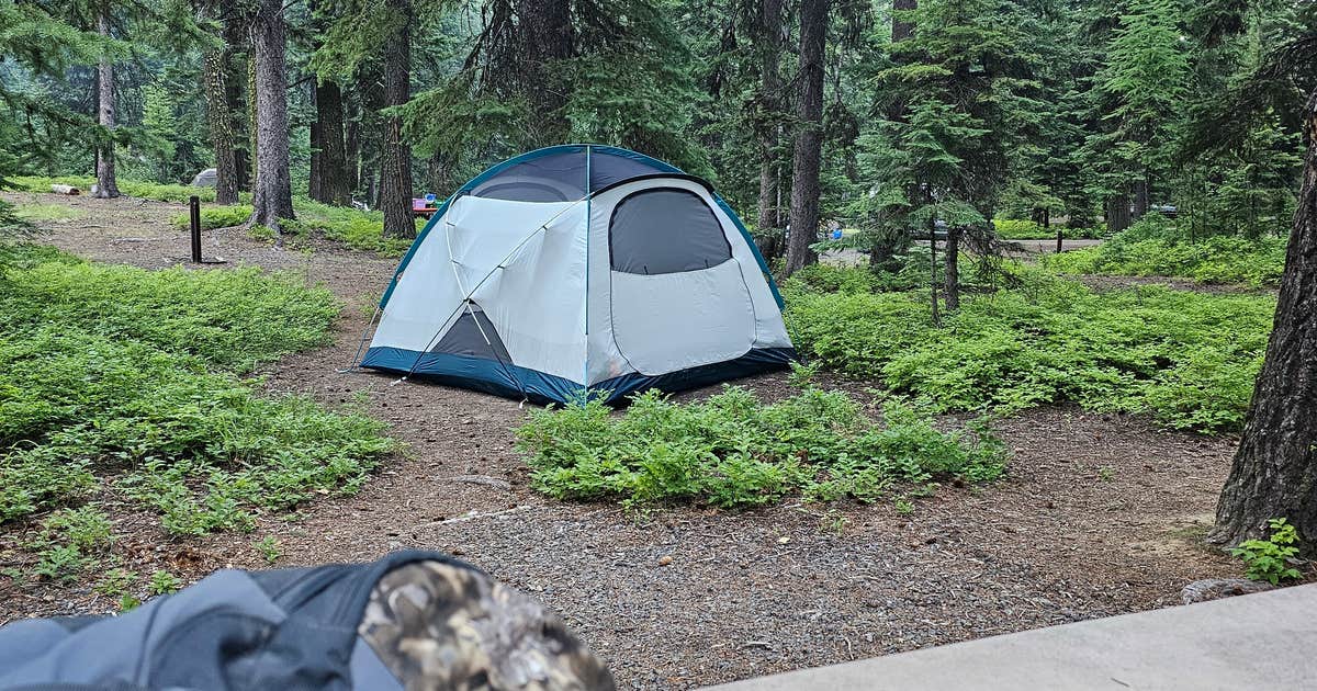 Malheur National Forest photo 3
