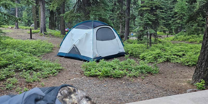 Camper submitted image from Strawberry Campground