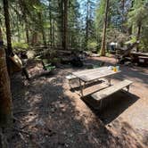 Review photo of Cougar Rock Campground — Mount Rainier National Park by Jennifer A., July 23, 2023