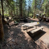 Review photo of Cougar Rock Campground — Mount Rainier National Park by Jennifer A., July 23, 2023