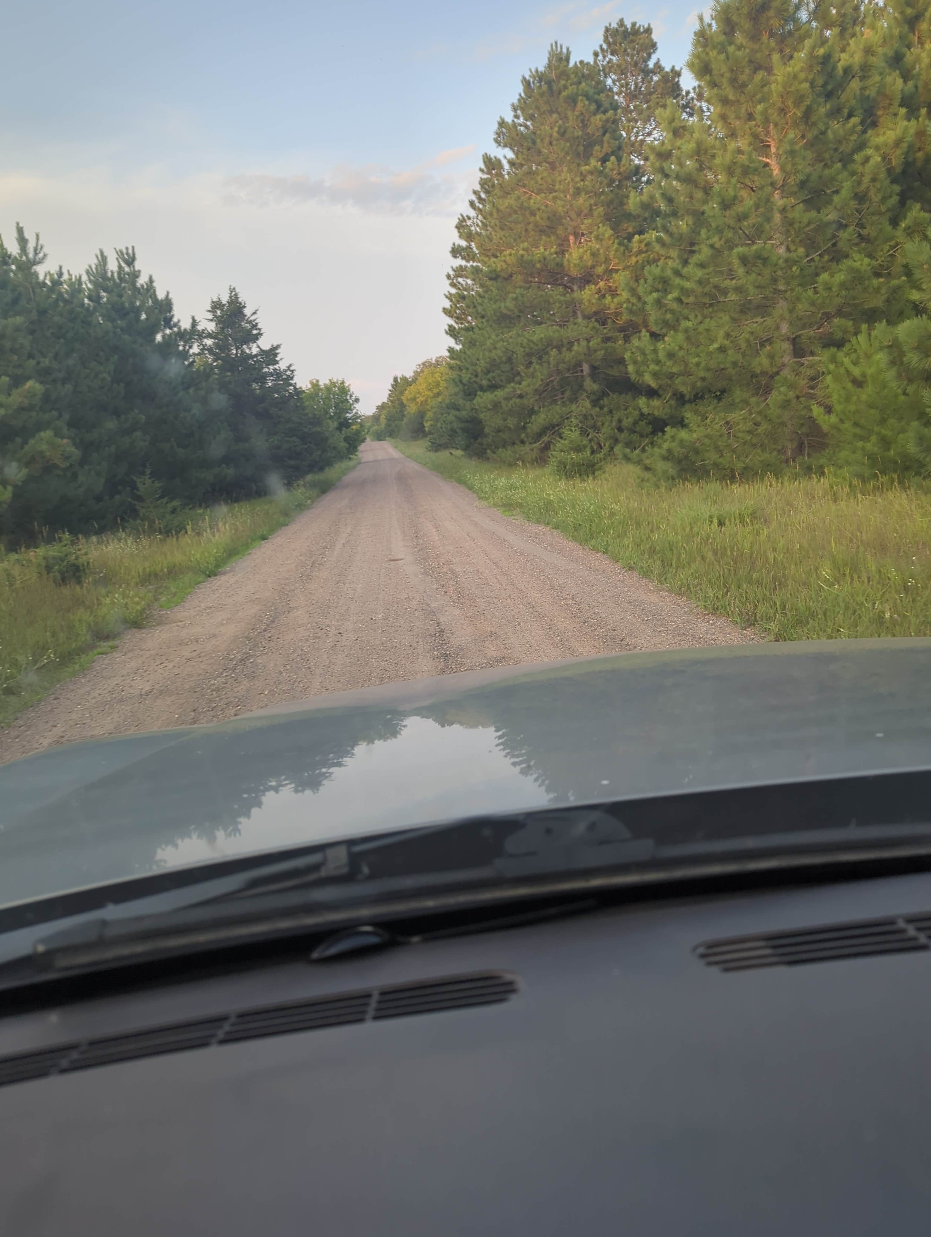 Camper submitted image from South of Sand Dunes State Forest - 2