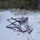 Review photo of Cherry Creek State Park Campground by Stacey B., October 24, 2018