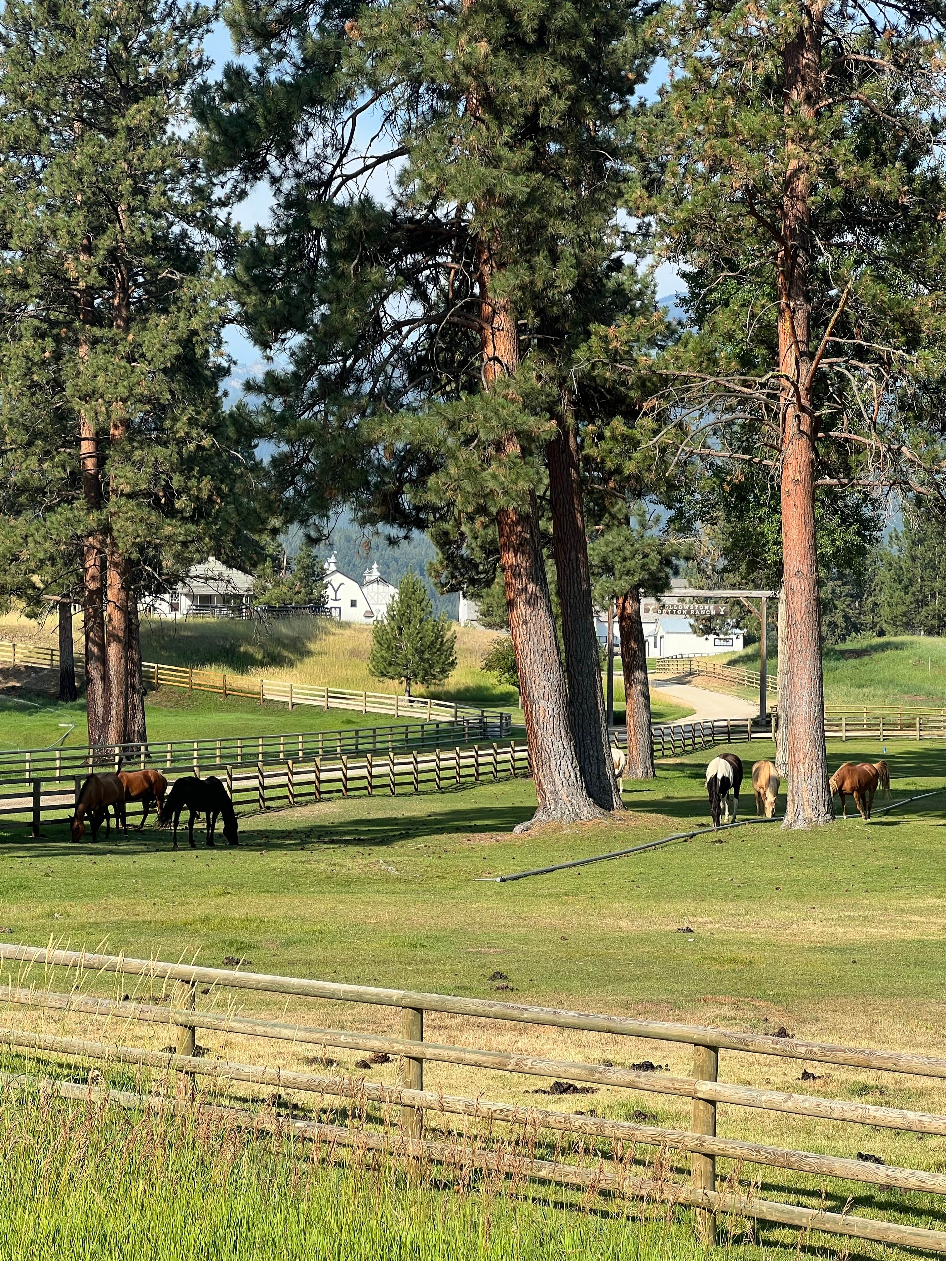 Camper-submitted photo at Lost Horse Dispersed Campground near Conner, MT