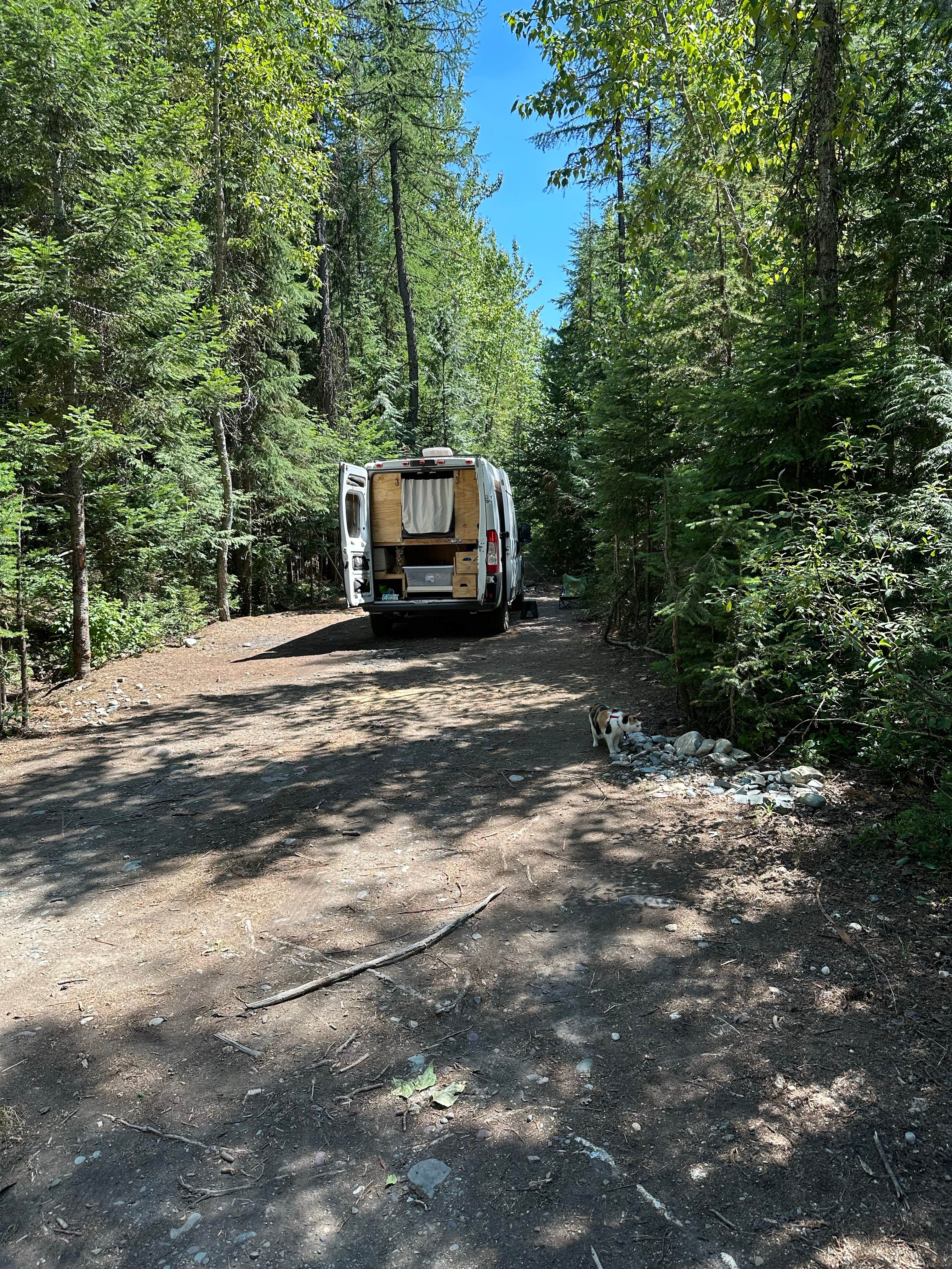 Tee C.'s photo of camping with pets at Glacier Rim River Access 10363 near Olney, MT