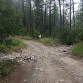 Review photo of Cherry Creek Campground by Jacob  W., July 23, 2023