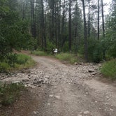 Review photo of Cherry Creek Campground by Jacob  W., July 23, 2023